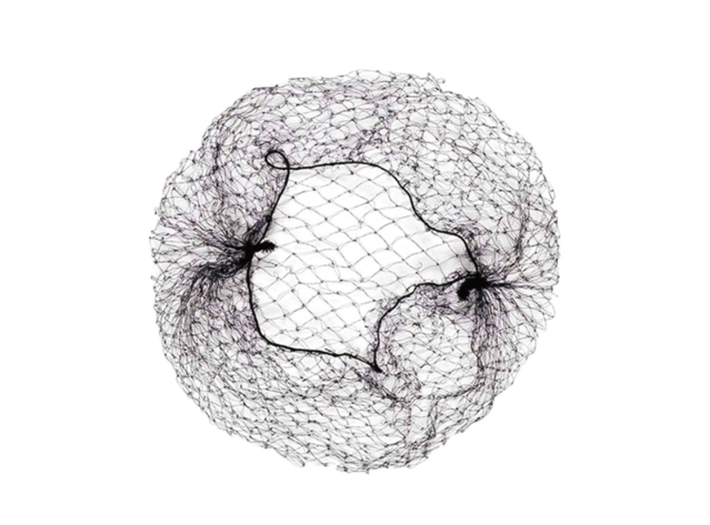 Hair Net thumbnail 3